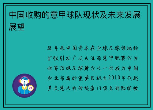 中国收购的意甲球队现状及未来发展展望