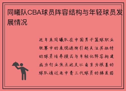 同曦队CBA球员阵容结构与年轻球员发展情况